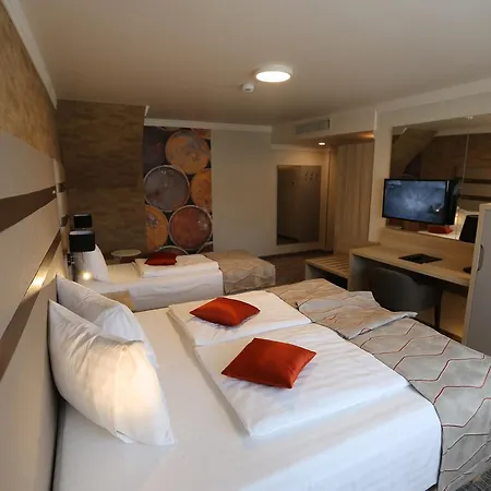Baril Hotel Haţeg